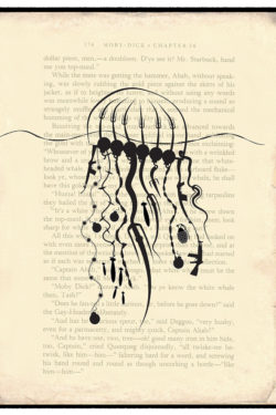 EBK | Rainwater [Jellyfish]